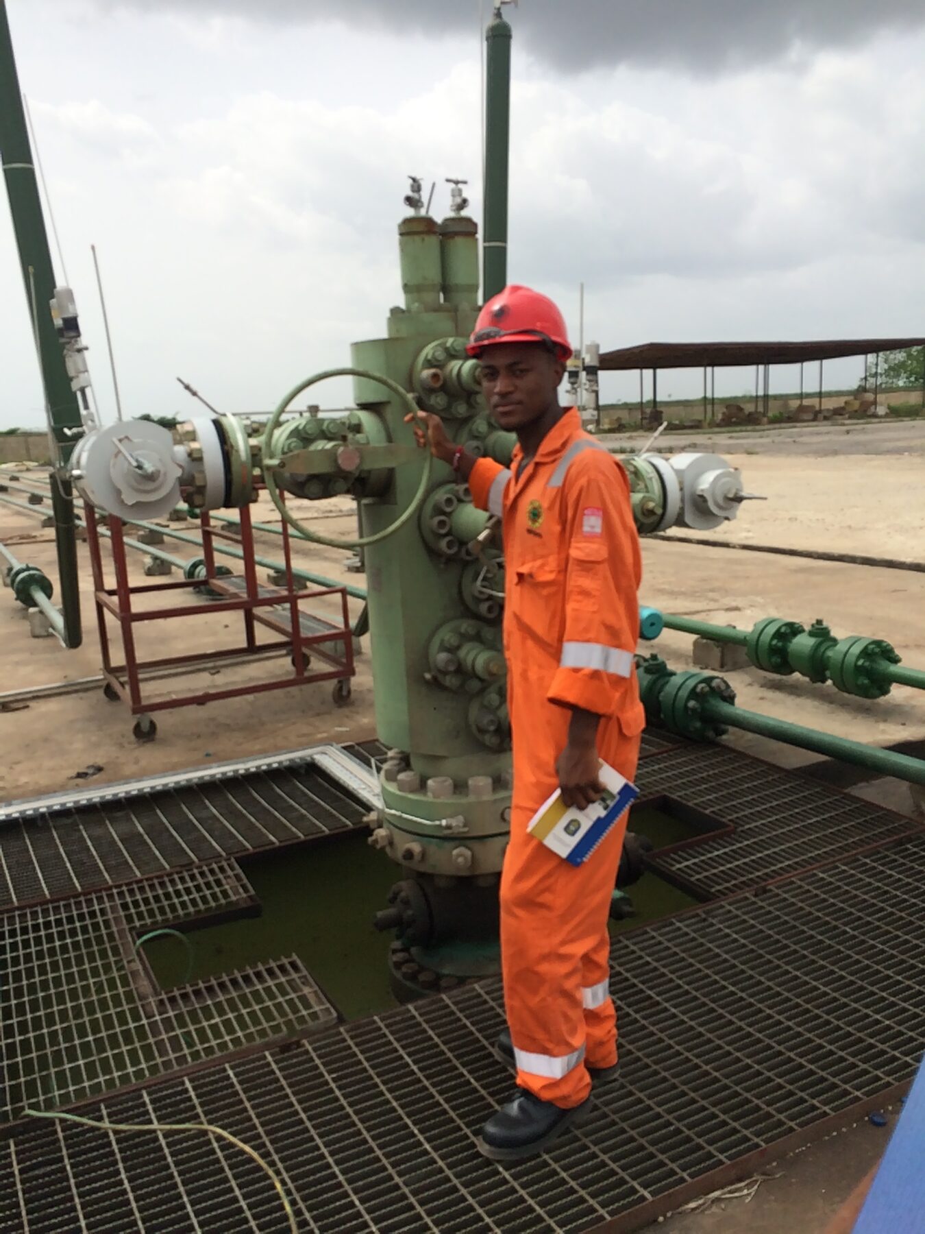 Well head at the Ozeingbe flow station, NPDC, 2016